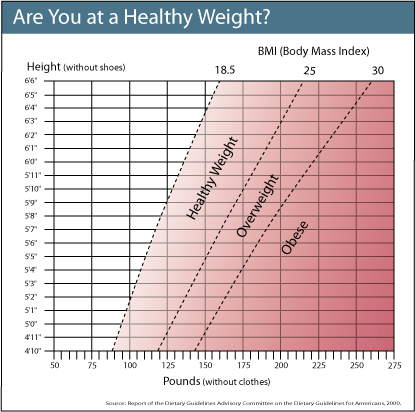 female body mass index chart. BMI tracking